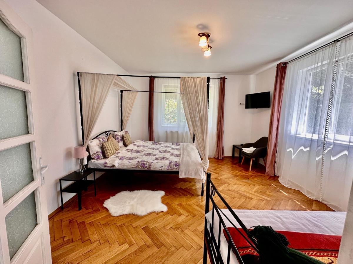 Anton Pann House - Entire House Below The Citadel Segesvár Kültér fotó